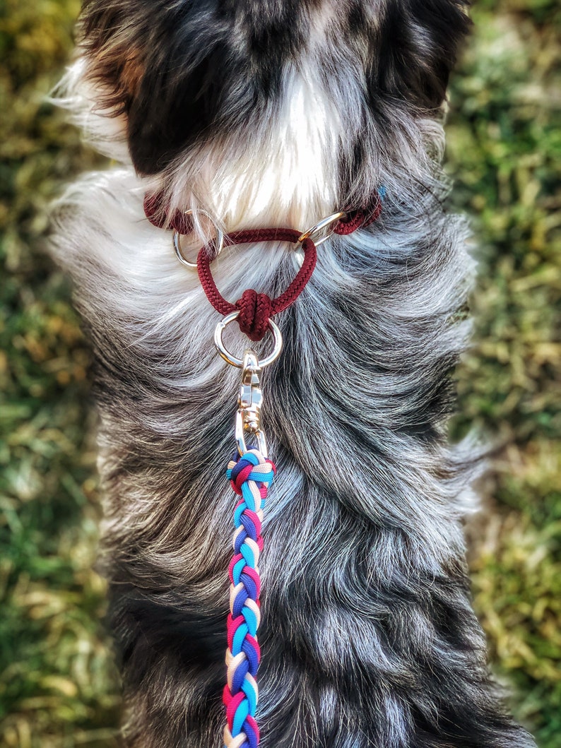 Martingale Dog Collar Braided Diamond Rope And Paracord Wide Training Collar For Medium to Extra Large Dogs WITH MATCHING LEASH