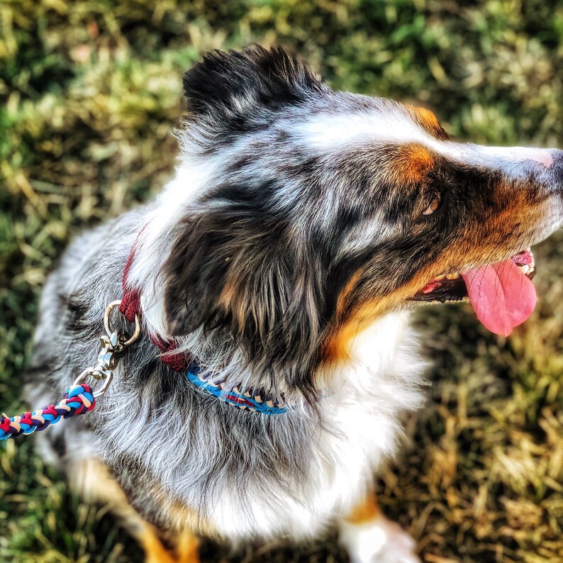 Martingale Dog Collar Braided Diamond Rope And Paracord Wide Training Collar For Medium to Extra Large Dogs WITH MATCHING LEASH