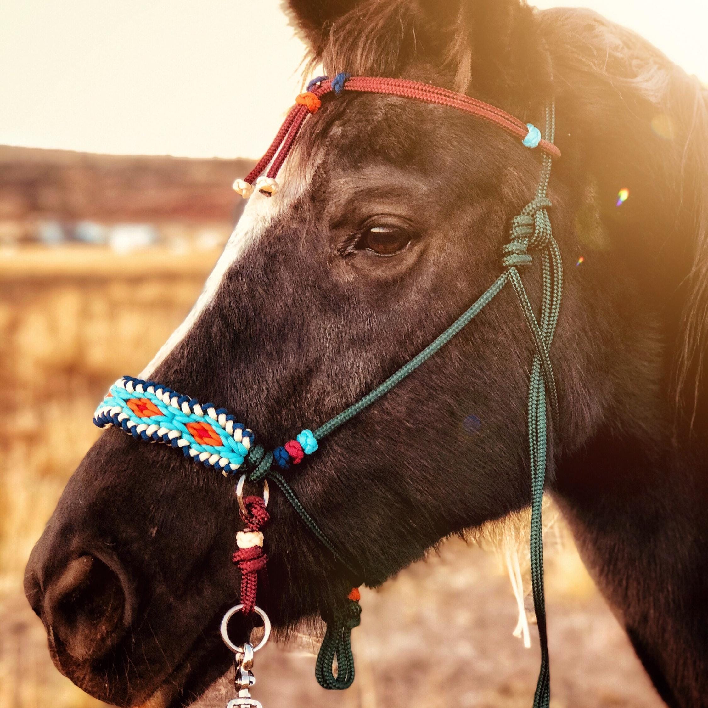 Soft  Rope Halter Bitless Bridle Hackamore- Diamond Paracord Overlay with adjustable browband