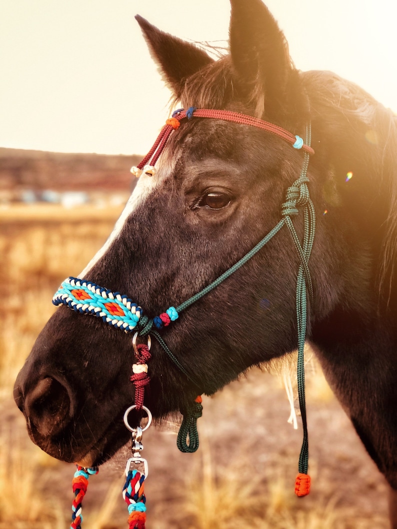 Soft Rope Halter Bitless Bridle Hackamore Diamond Paracord Etsy UK