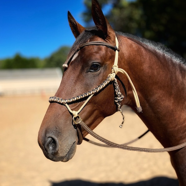 Rope Bridle Etsy