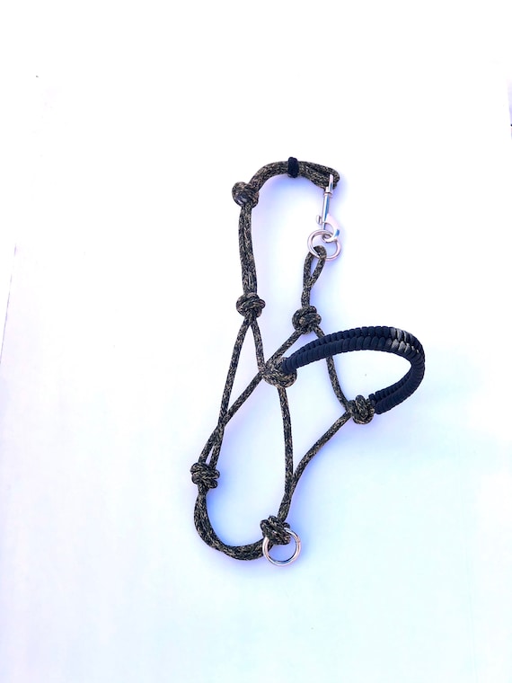 Buy Knotted Rope Adjustable Dog Harness Woven Paracord Overlay