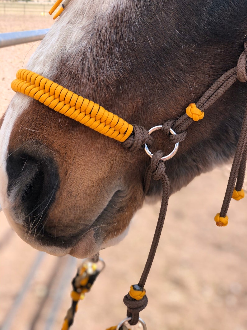 Knotted Soft Sidepull Hackamore Bitless Bridle Woven Paracord Etsy