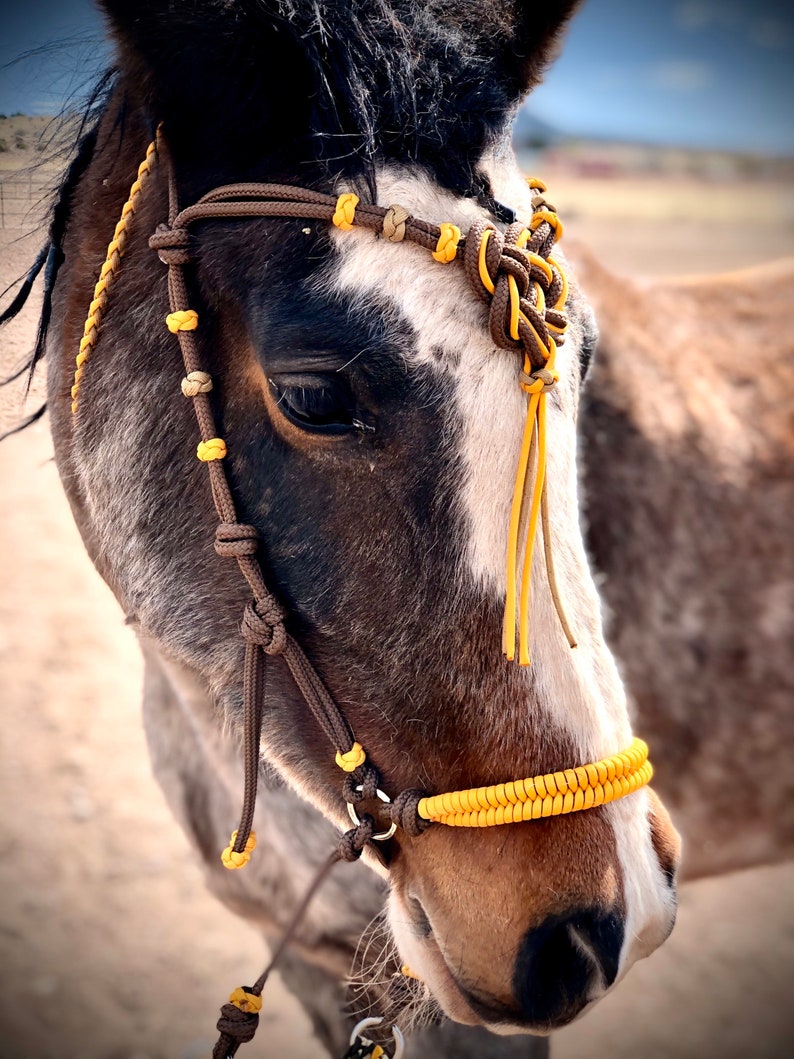 Knotted Soft Sidepull Hackamore Bitless Bridle Woven Paracord Etsy