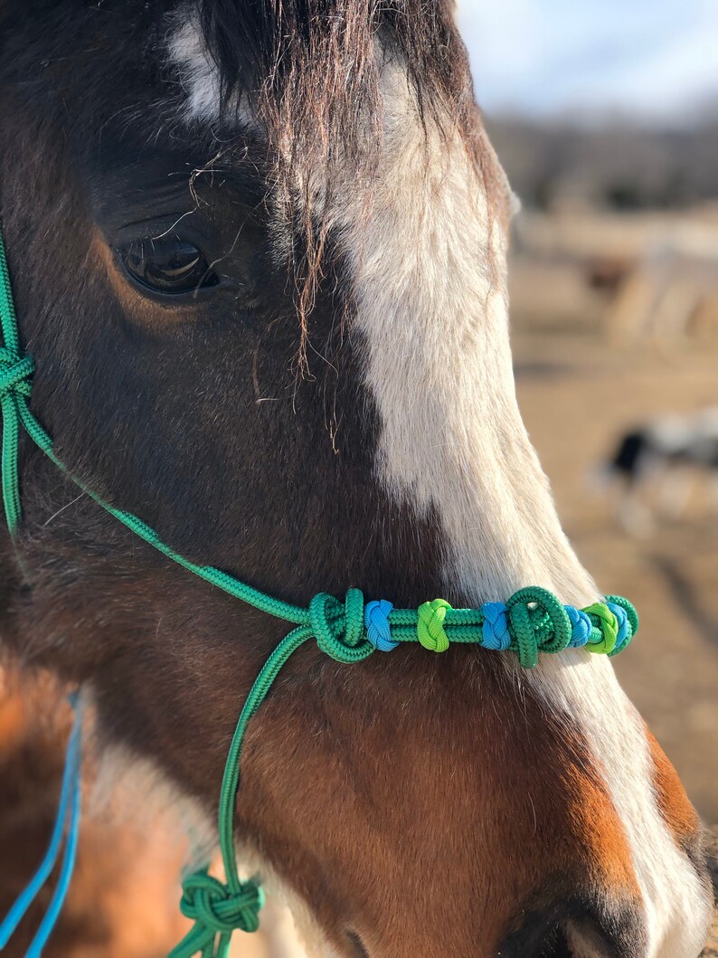 Stiff Rope Breakaway Training Halterdouble Knot Noseband Etsy