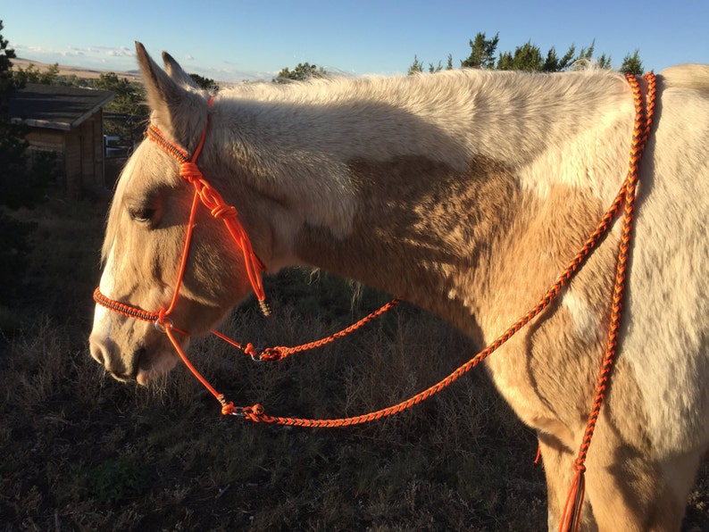Bitless Bridle Chin Slip Style MultiColor Paracord overlay Etsy