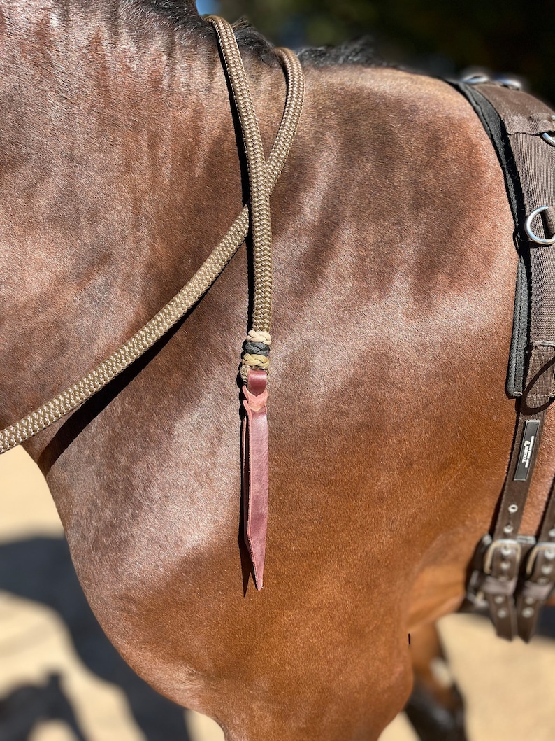 Custom Paracord Overlay Bitless Bridle: Soft Rope Loping Hackamore - Etsy