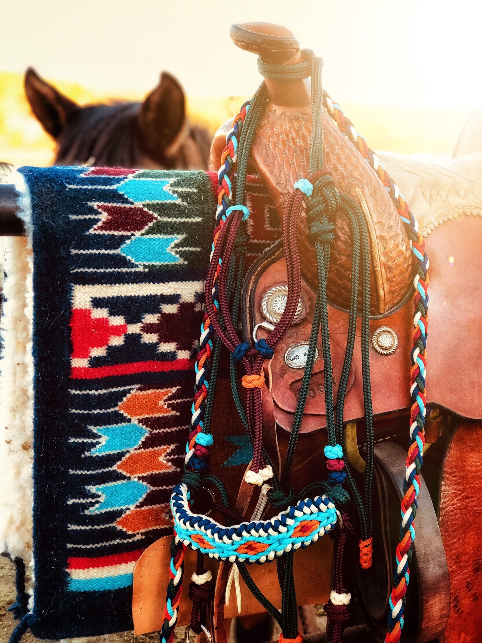 Soft Rope Halter Bitless Bridle Hackamore Diamond Paracord Etsy