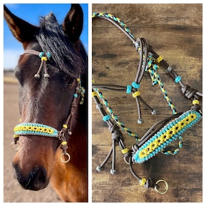 Pu&ograve; includere: Un morsetto in pelle marrone per cavallo con dettagli in corda intrecciata gialla e blu. Il morsetto &egrave; mostrato su un cavallo marrone e disposto piatto su una superficie di legno.
