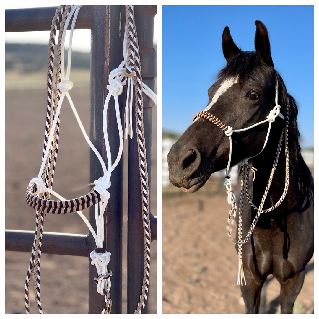 Stiff Rope Halter&matching Leadwoven Noseband Overlay Horse Training