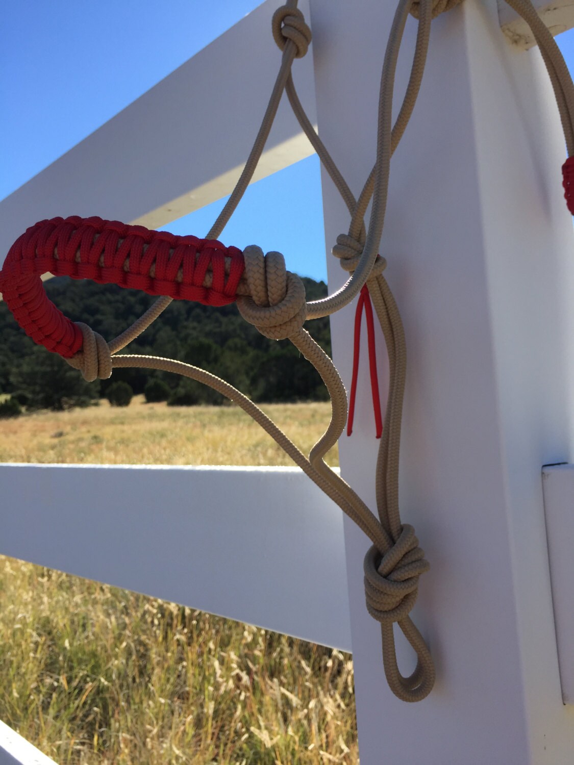 Stiff Rope Halter Solid Color Paracord overlay Knotted or Etsy