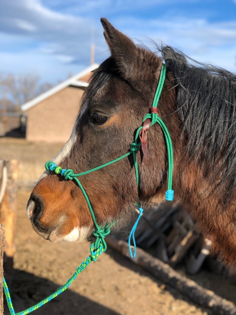 Stiff Rope Breakaway Training Halterdouble Knot Noseband Etsy