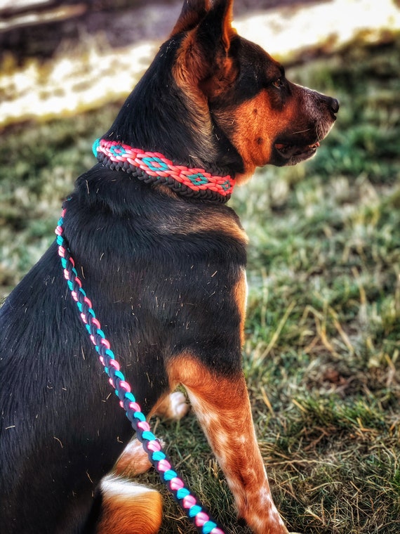 Braided Diamond Wide Slip Dog Collar Knotted Rope and Paracord Training Collar for Medium to Extra Large Dogs With Matching Leash Etsy