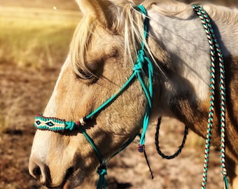 Soft Rope Halter-Big Diamond Braided Overlay- Horse Training Halter