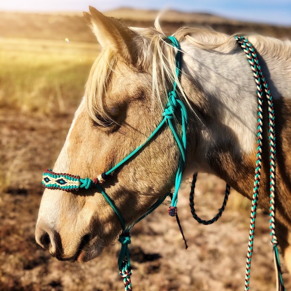 Rope Halter - Etsy