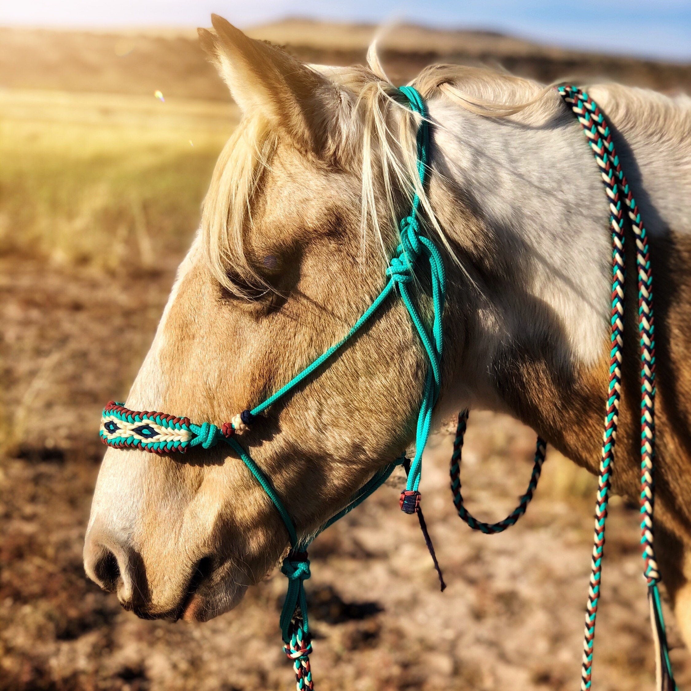 Riding & Farm Animals Horse halter horse rope halter horse tack horse