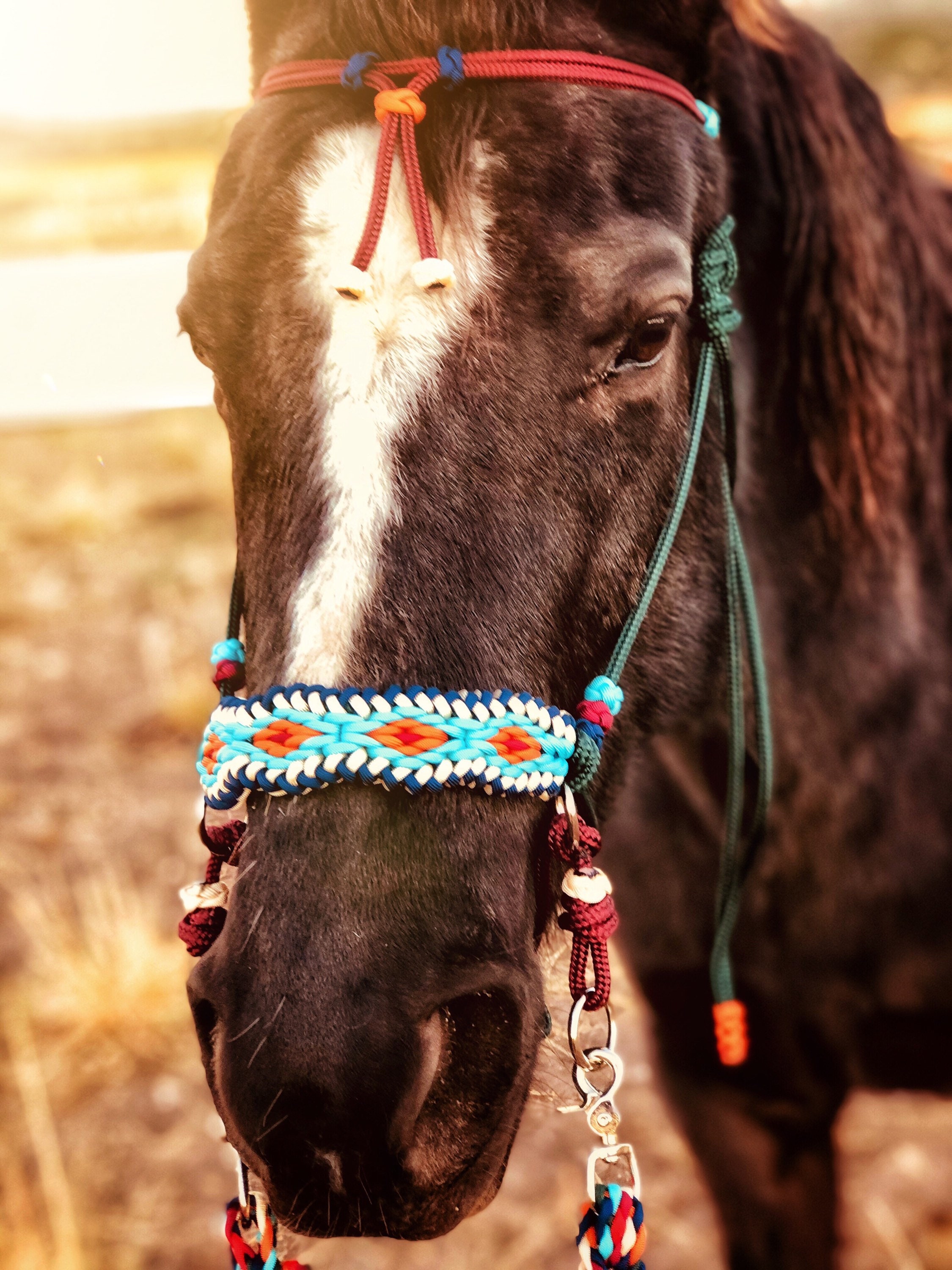 Soft Rope Halter Bitless Bridle Hackamore Diamond Paracord Etsy Canada