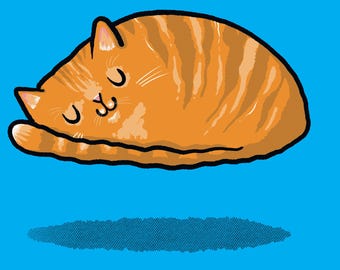 Hover Cat - Organic Cotton T-shirt in a choice of 9 Colours