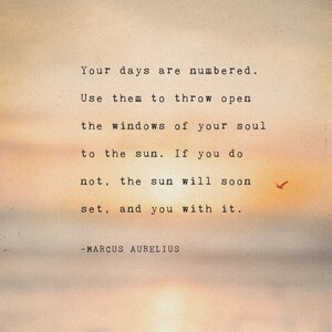Marcus Aurelius Quote Print: Sunset Poetry Art image 2