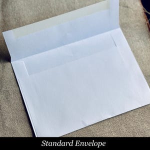 Pu&ograve; includere: Una busta bianca standard con una finestra trasparente sul davanti.