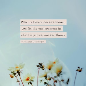 Quote print "When a flower doesn’t bloom, you fix the environment in which it grows, not the flower."