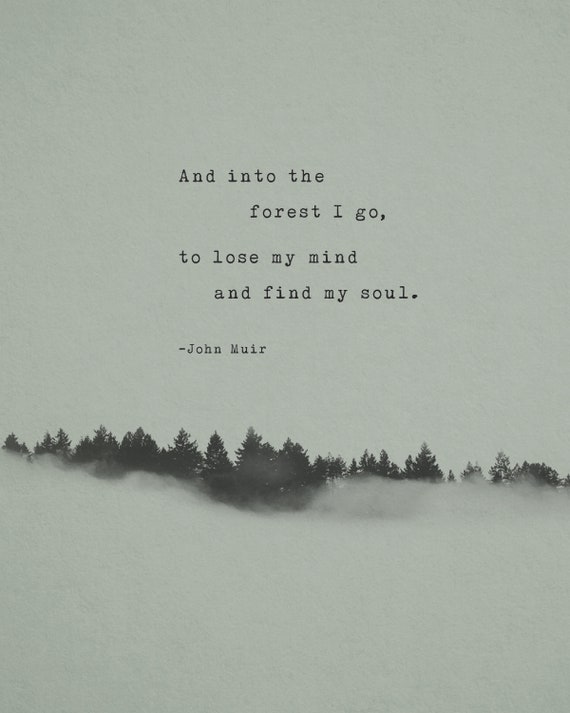 John Muir Quote Print And Into The Forest I Go Men's | Etsy Canada