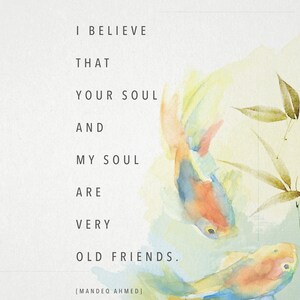 Best friend or soulmate quote "I believe that your soul and my soul are very old friends"