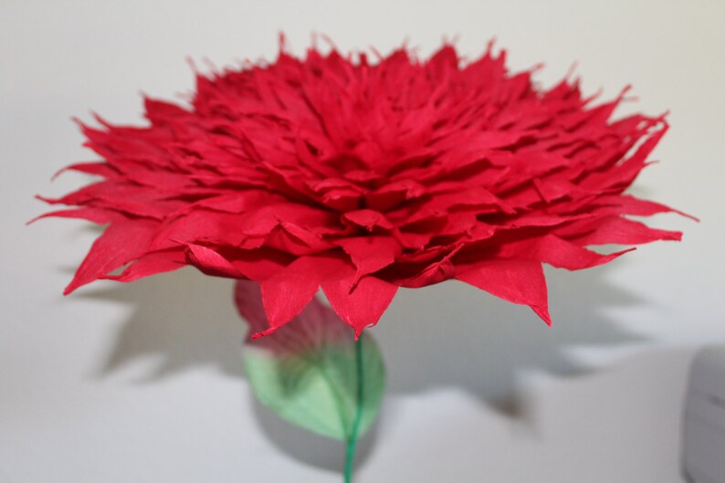 X Large Mexican Paper Flower Red 13 Diameter we Etsy