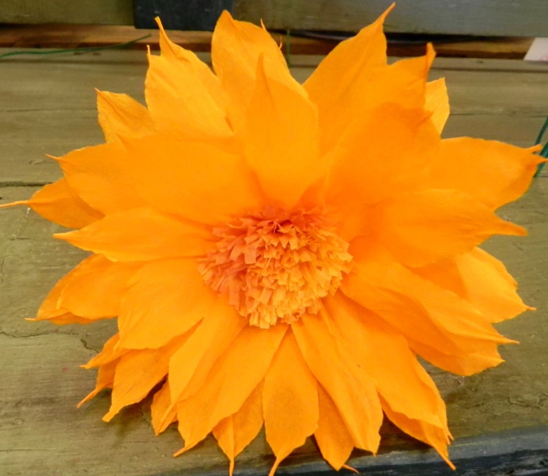 Mexican Paper Flowers Set of 6 Multicolor we Make Special Orders 012 Etsy