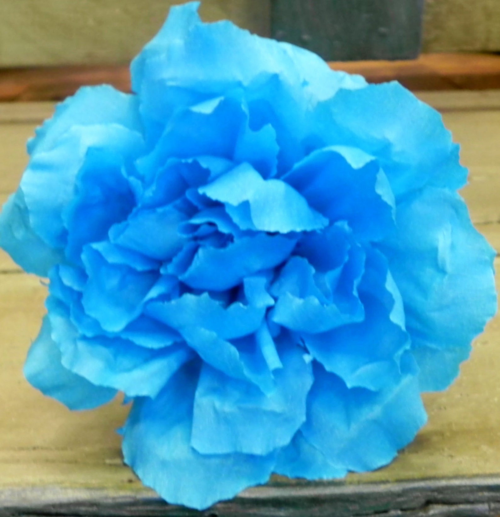 Mexican Crepe Paper Flowers Set of 6 Multicolor Rosewe Etsy