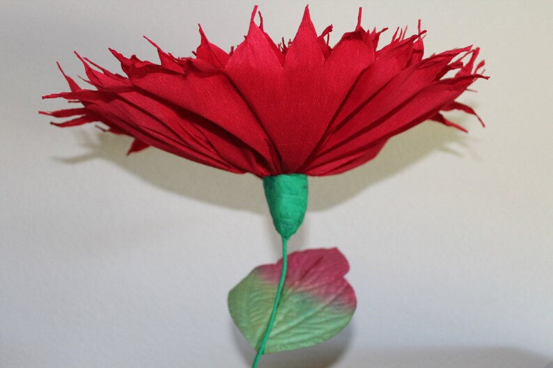 X Large Mexican Paper Flower Red 13 Diameter we Etsy