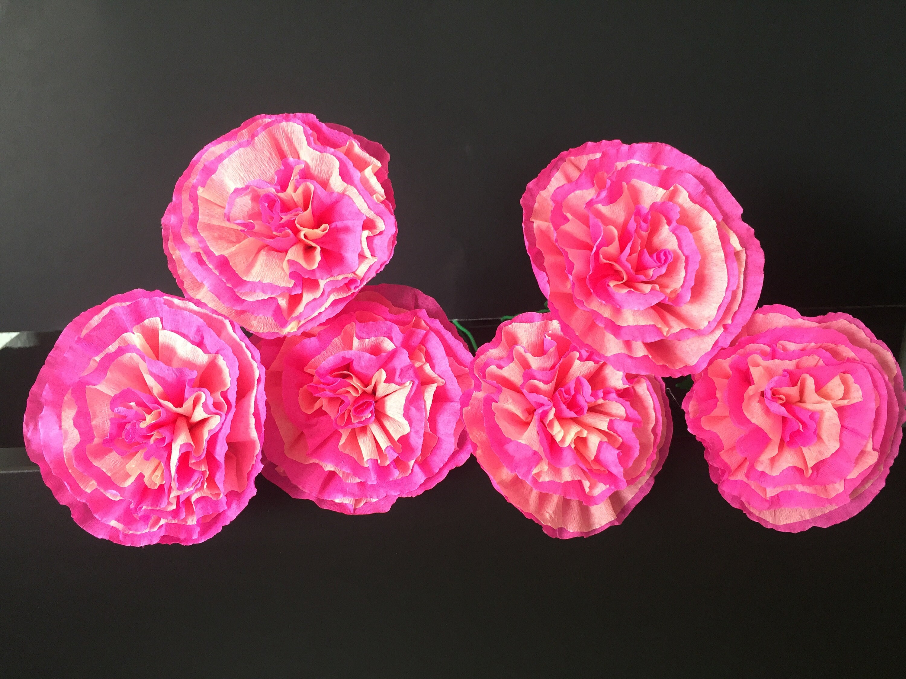 Mexican Crepe Paper Flowers Set of 6 We Make Special Etsy