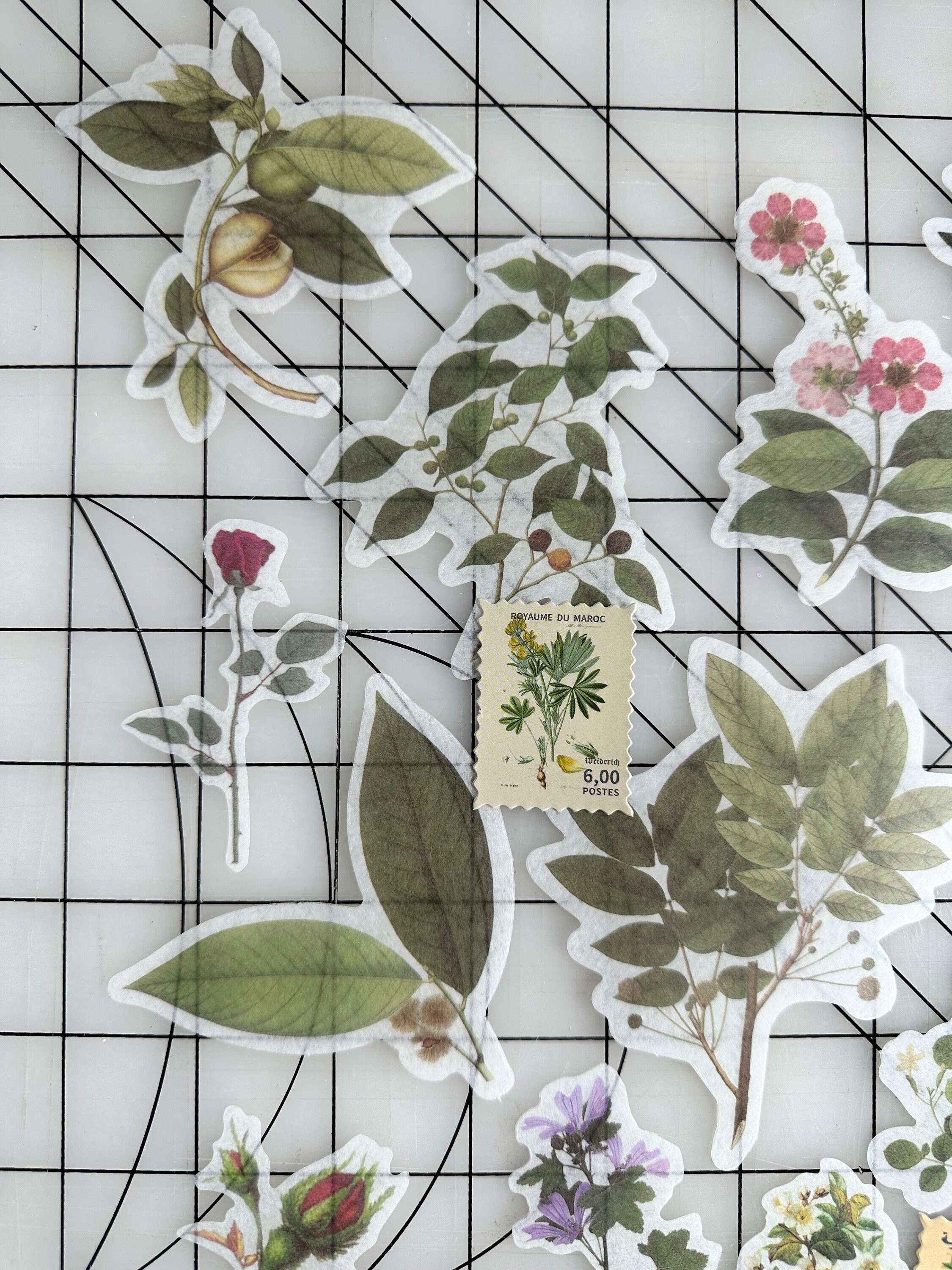 Assorted Green Botanical Stickers / 46 Pc - Etsy
