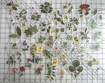 Assorted green botanical stickers / 46 pc