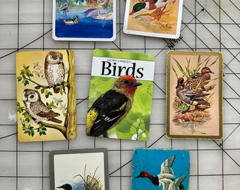 ATC / Birds Assortment/ 7 pc set