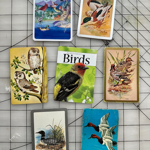 ATC / Birds Assortment/ 7 pc set