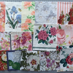 Paper Napkins: Spring Time / 14 pc