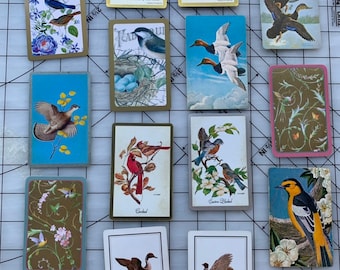 Lote de 14 naipes vintage de pájaros, efímeras con temática animal