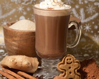 Gingerbread Gourmet Hot Chocolate - Cocoa Mix - Organic - Vegan - Artisan