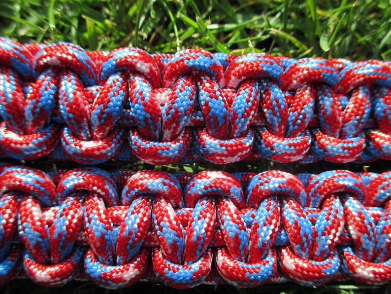 Rebel Paracord Halter with 6/' Lead