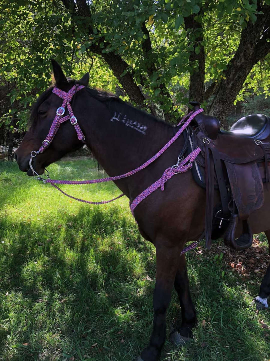 Horse Tack Paracord Head Stall, Breast Collar, Wither Strap, Reins