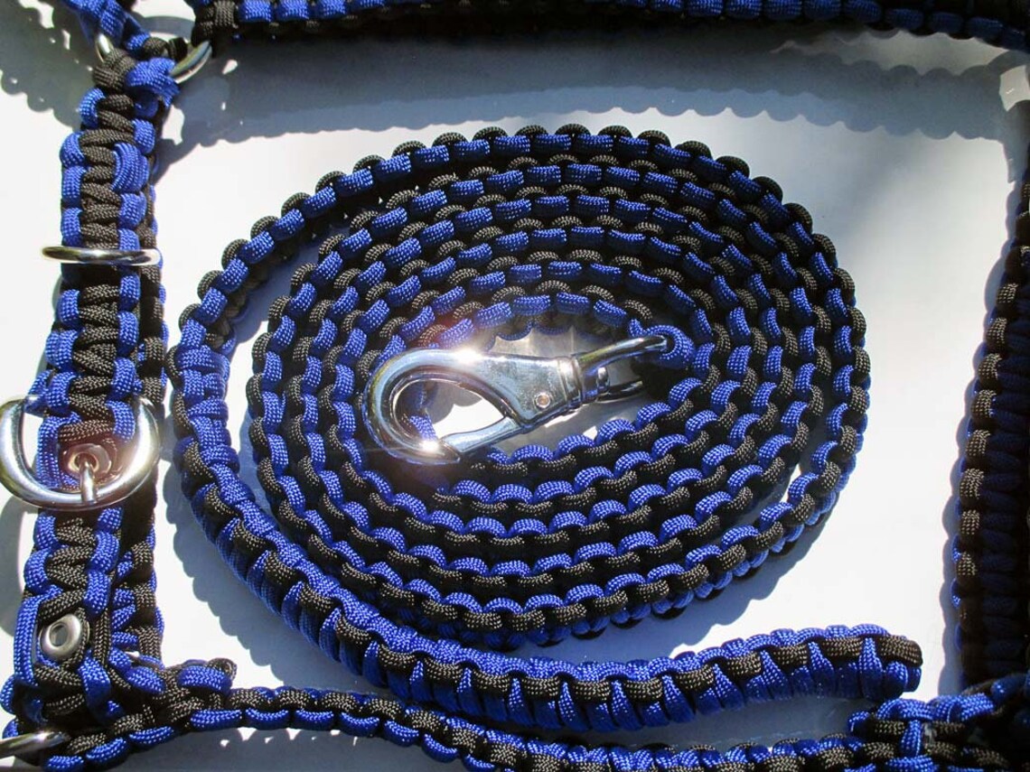Black and Blue Paracord Halter and 6' Lead Etsy