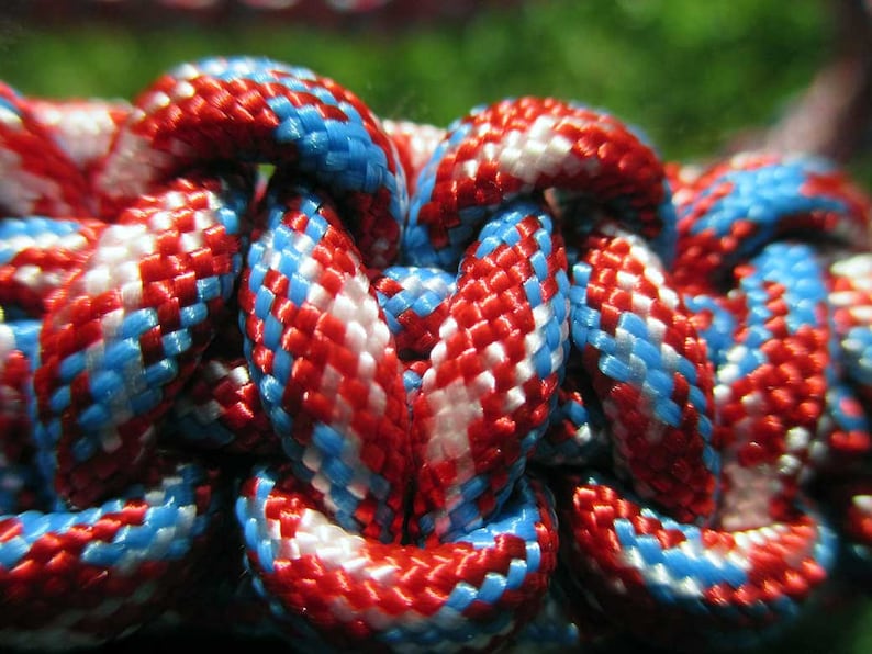 Rebel Paracord Halter with 6/' Lead