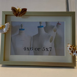 Gold Picture Frame with Vintage Gold, Silver and Shell Butterfly Brooches. Butterfly Brooches, Novelty Picture Frame, Shell Butterflies