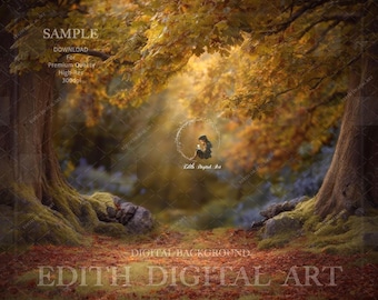 May include: A digital background featuring a forest scene with a path leading towards a bright, sunlit area. The image includes large trees with yellow and orange leaves, mossy ground, and the text "EDITH DIGITAL ART".