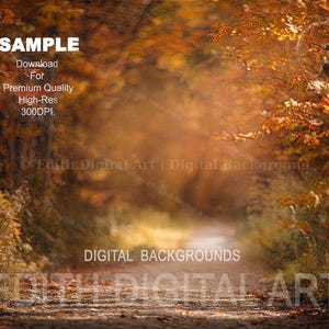 Puede incluir: Imagen de fondo digital que representa un camino a través de un bosque en otoño. La imagen tiene tonos cálidos de naranja y marrón, con la luz del sol filtrándose a través de los árboles. El texto en la imagen dice "SAMPLE" y "DIGITAL BACKGROUNDS".