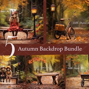 Fall Digital Backdrop Photography, Bundle of 5 Autumn Backdrops, Wooden Bench on Autumn Forest, Outdoor Portrait Photoshoot Digital Download