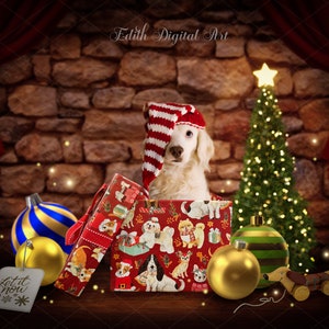 Fondo digital navideño, fotografía de perro navideño, fondo digital para mascotas, gato o cachorro en caja de regalo de Navidad, composición de Photoshop.