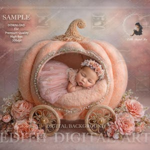 Newborn Digital Backdrop, Felt Princess Pumpking Carriage, Studio Portrait For Baby Girl Photo  Composites, Fairytale Photography Background