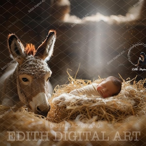 Christmas Digital Backdrop, Nativity Digital Photography, Newborn Background Composite, Baby Jesus Photo Portrait, Nativity Theme, Download.
